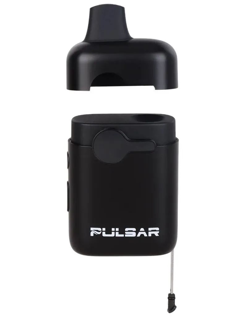 Pulsar DL Flower 2.webp
