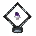 Carb Cap Fruit Collection Grapes Bonglab 3.webp