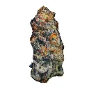 Almohada Pilloweed Cream Mandarin S 2.webp