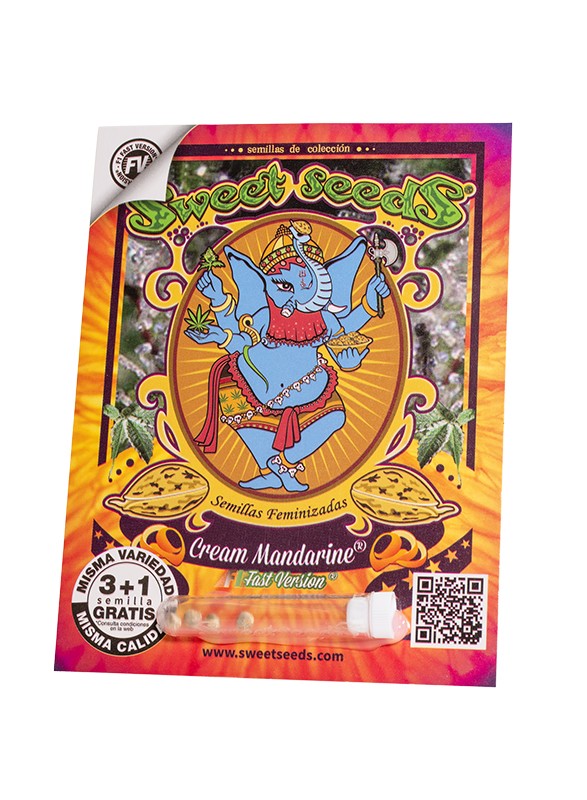 Cream Mandarine F1 Fast Version Fem 3+1 Semillas Sweet Seeds