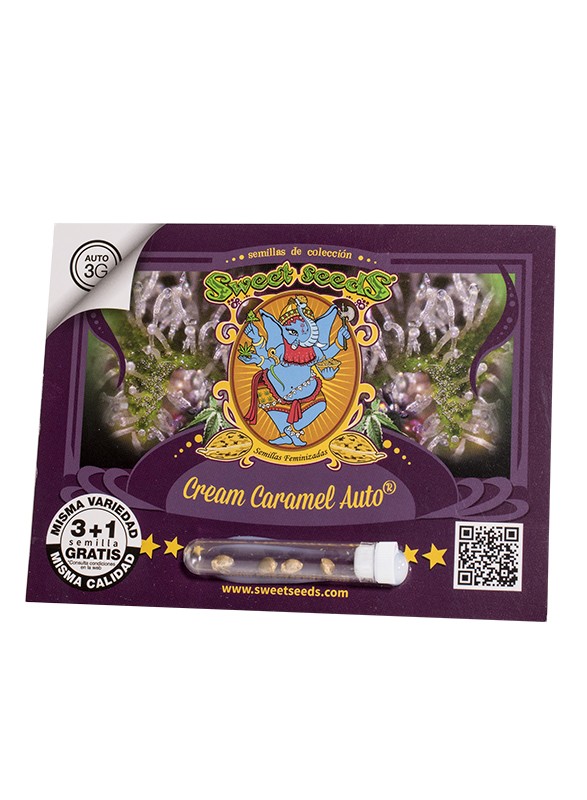 Cream Caramel Auto 3+1 Semillas Sweet Seeds