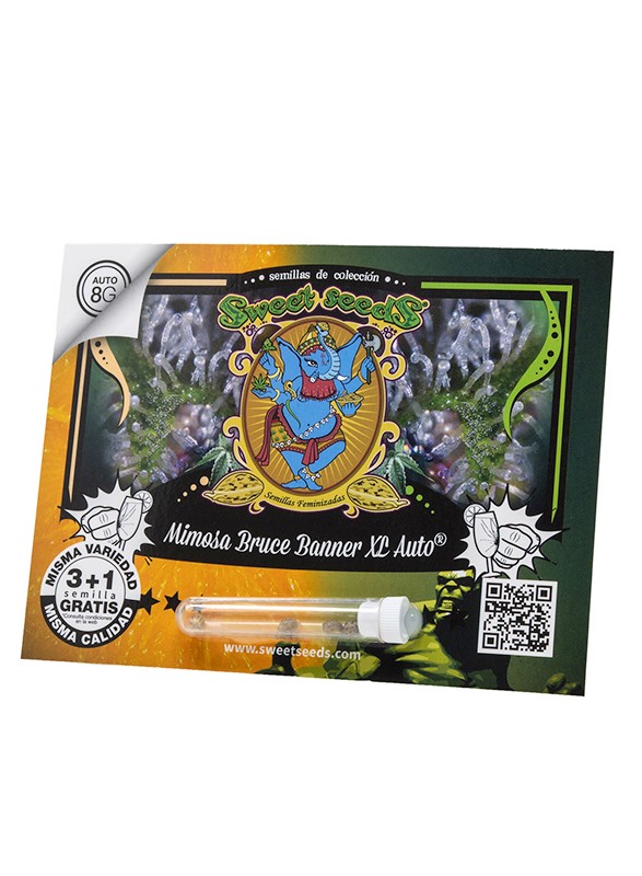 Mimosa Bruce Banner XL Auto 3+1 Semillas Sweet Seeds