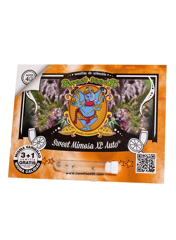Sweet Mimosa XL Auto 3+1 Sweet Seeds