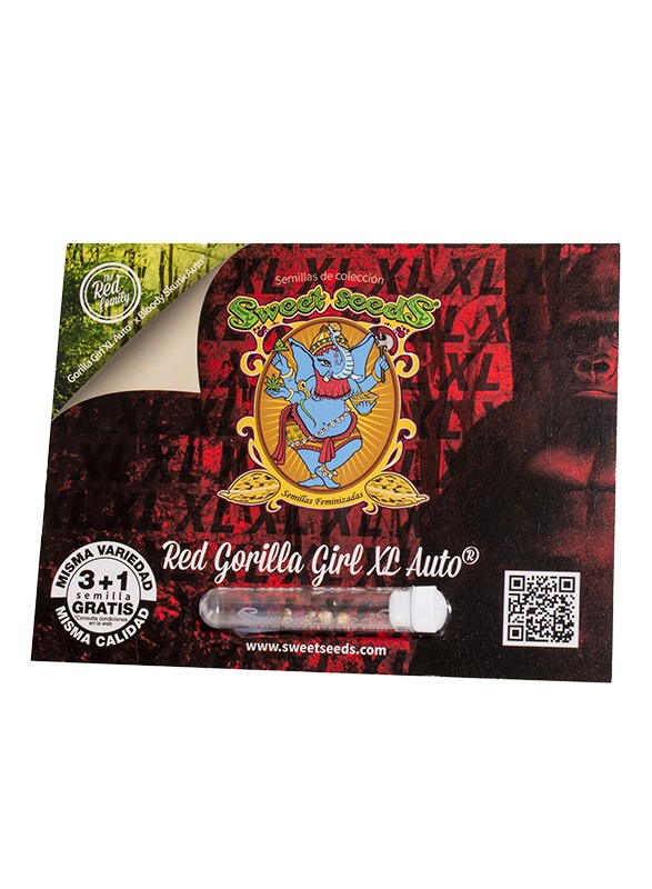 Red Gorilla Girl XL Auto 3+1 Semillas Sweet Seeds