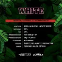 White Gorilla Fem 4 Semillas BSF Seeds