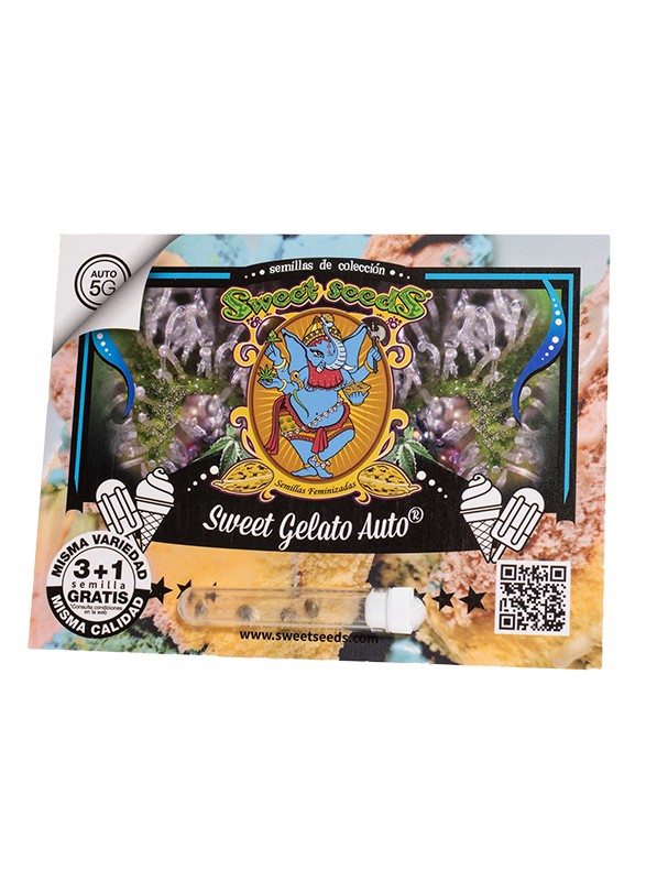 Sweet Gelato Auto 3+1 Semillas Sweet Seeds