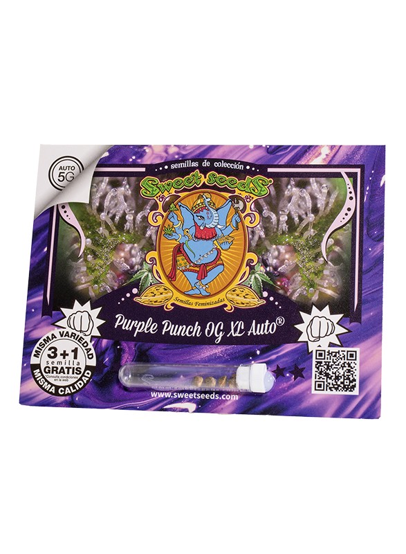 Purple Punch OG XL Auto 3+1 Semillas Sweet Seeds