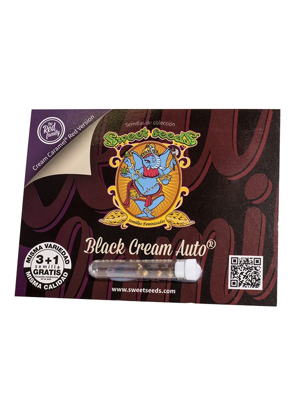 Black Cream Auto 3+1 Semillas Sweet Seeds