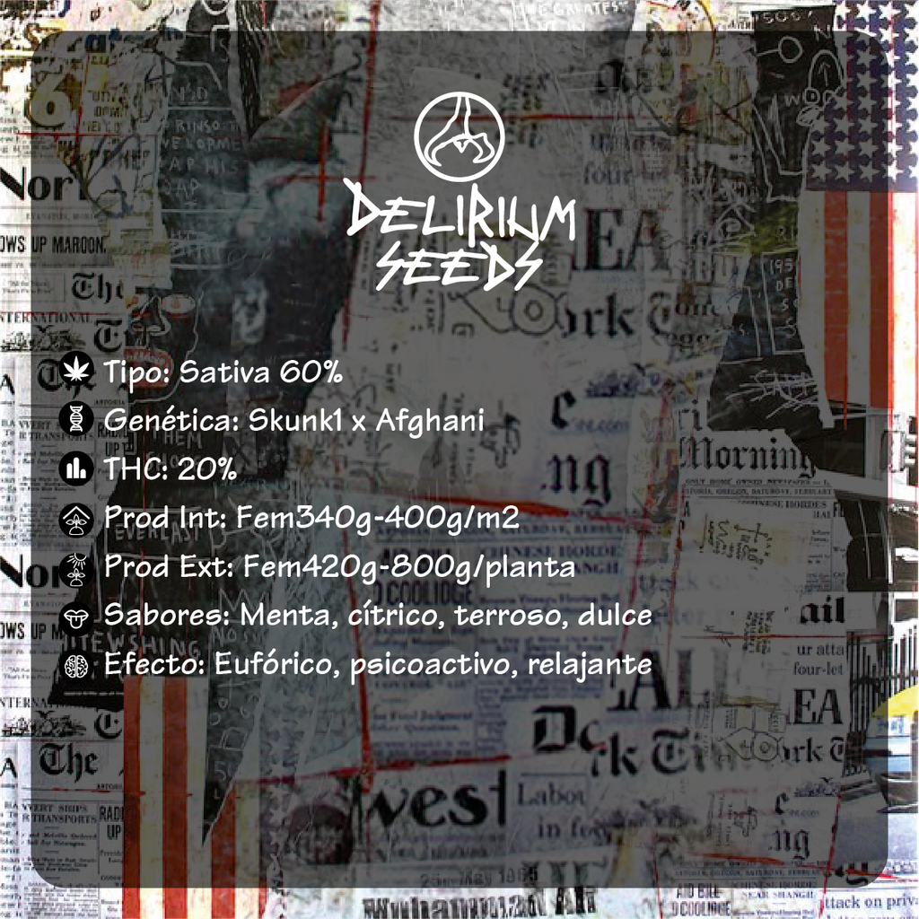  Skunk Pop Culture Auto 4 Semillas Delirium Seeds