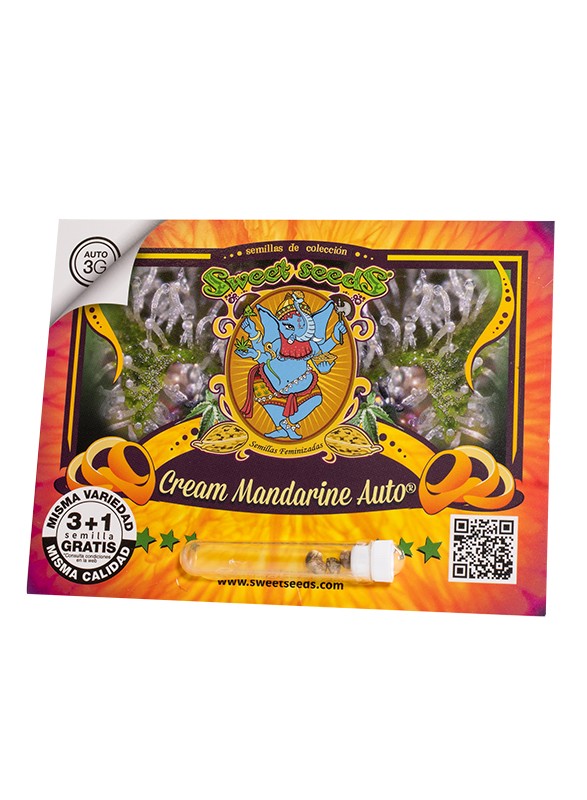 Cream Mandarine Auto 3+1 Semillas Sweet Seeds