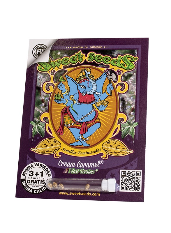 Cream Caramel F1 Fast Version Fem 3+1 Semillas Sweet Seeds