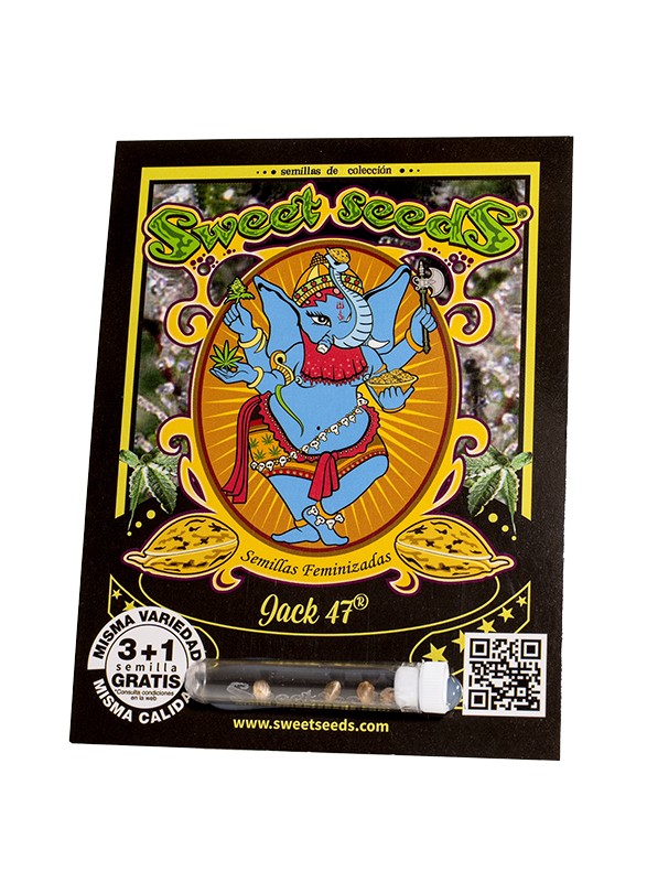 Jack 47 Fem 3+1 Semillas Sweet Seeds