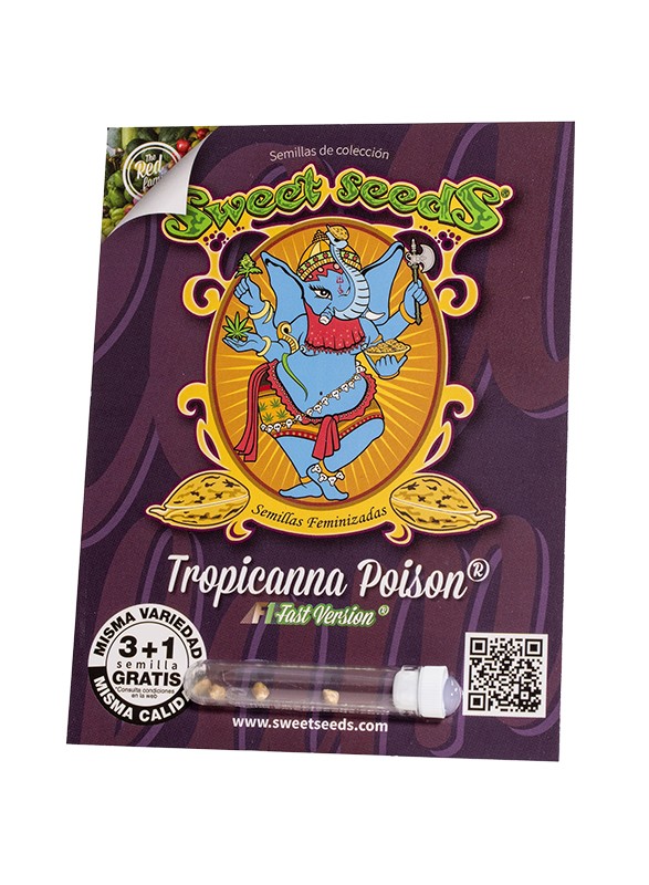 Tropicanna Poison F1 Fast Version Fem 3+1 Semillas Sweet Seeds
