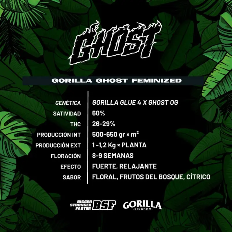 gorilla-ghost-feminized(4).webp