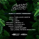 gorilla-ghost-feminized(4).webp