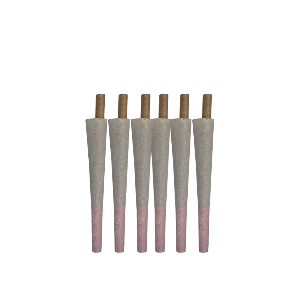 Hemp Cones POP Sandia Rolling Amsterdam 2.webp