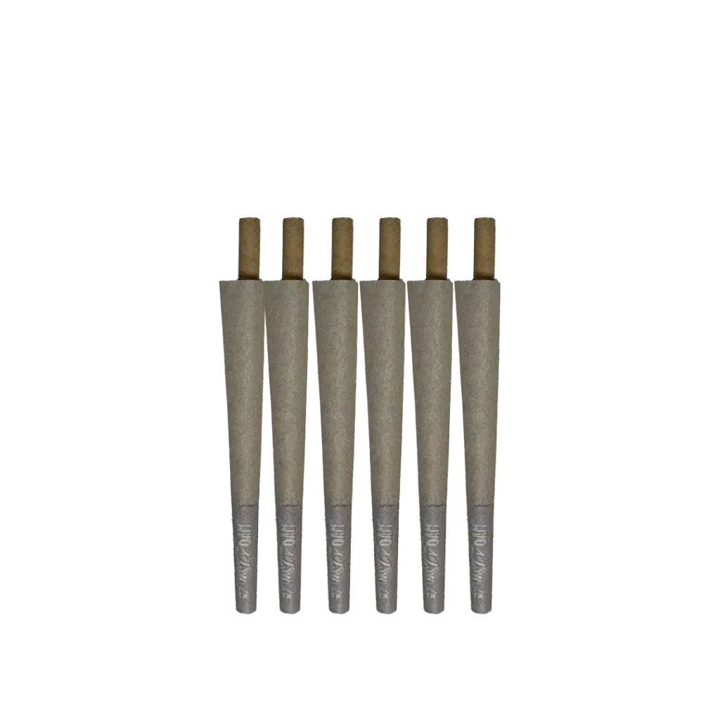 Hemp Cones POP Uva Rolling Amsterdam 2.webp