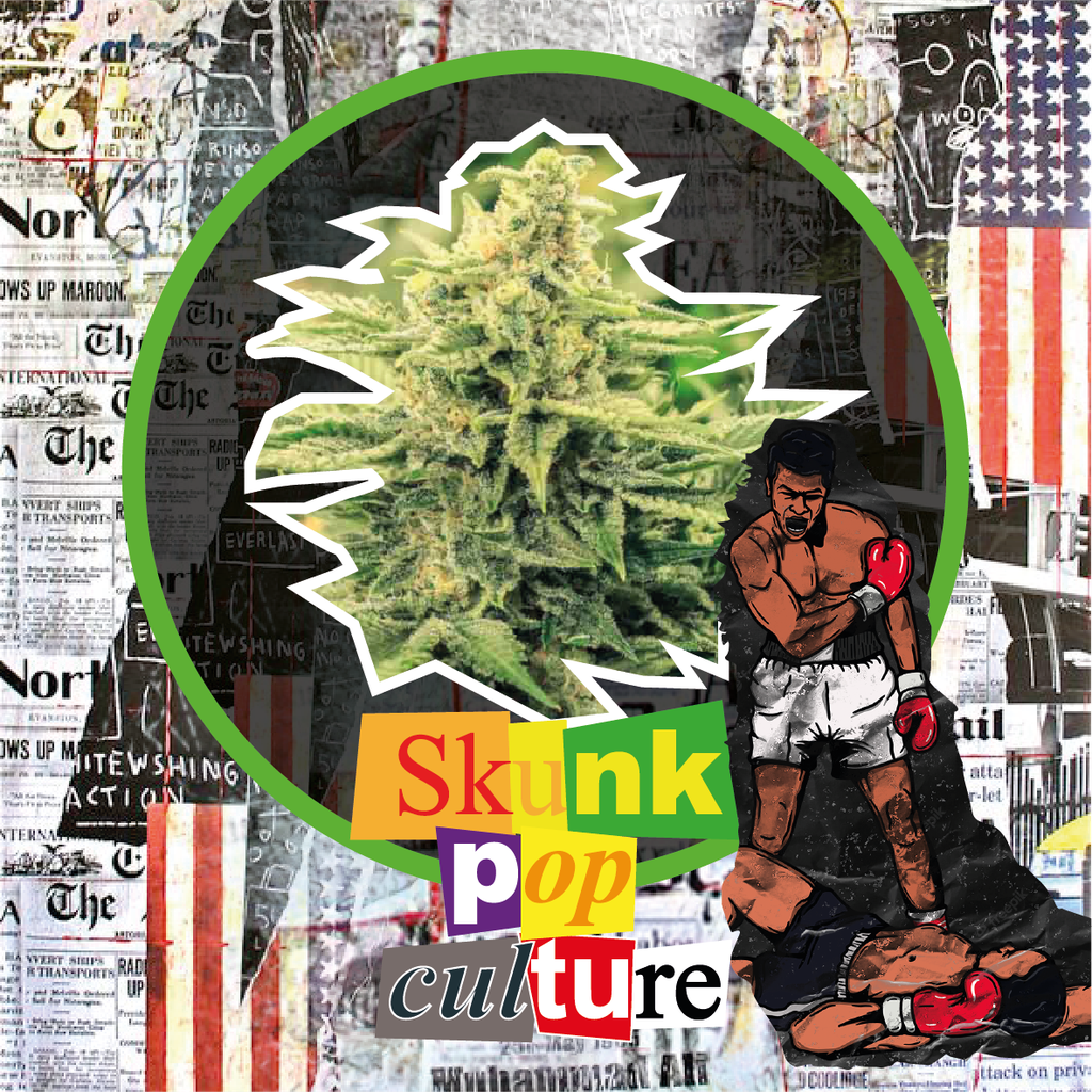 Skunk Pop Culture Fem 1 Semilla Delirium Seeds