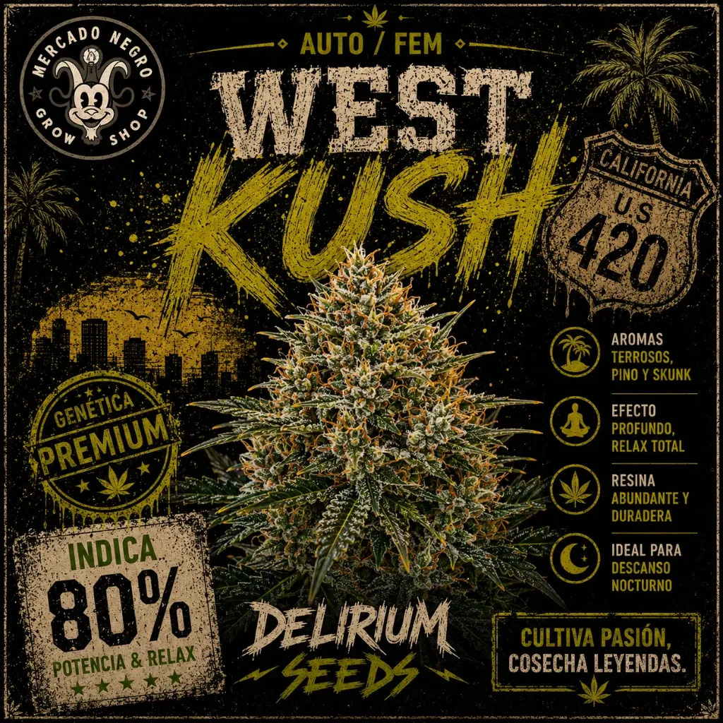 West Kush Fem 1 Semillas Delirium Seeds