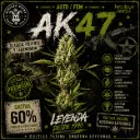 DLR AK Fem 1 Semillas Delirium Seeds