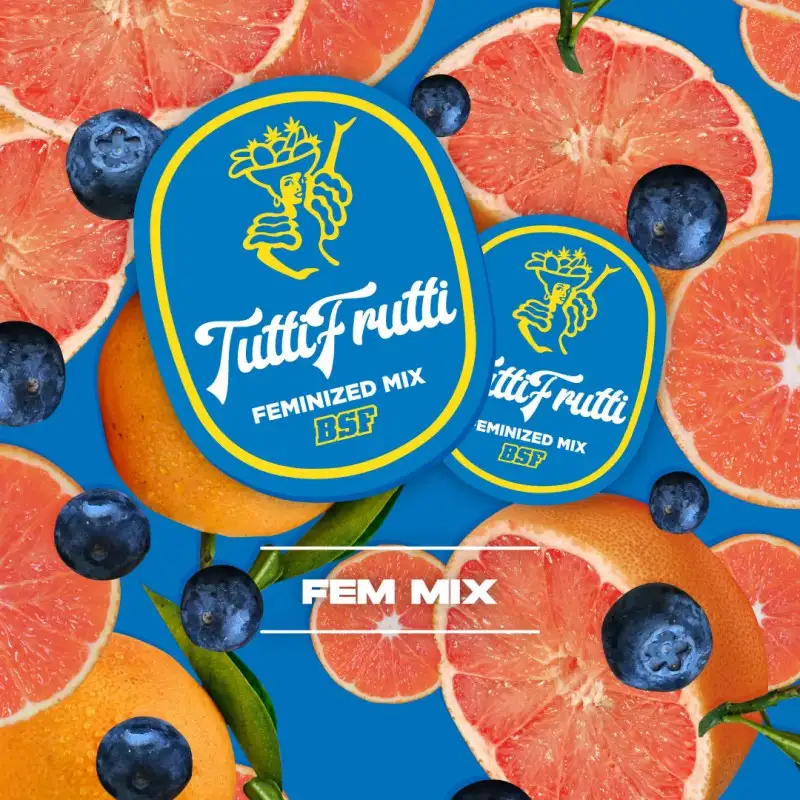 Tutti Frutti Fem Mix 4 Semillas BSF Seeds