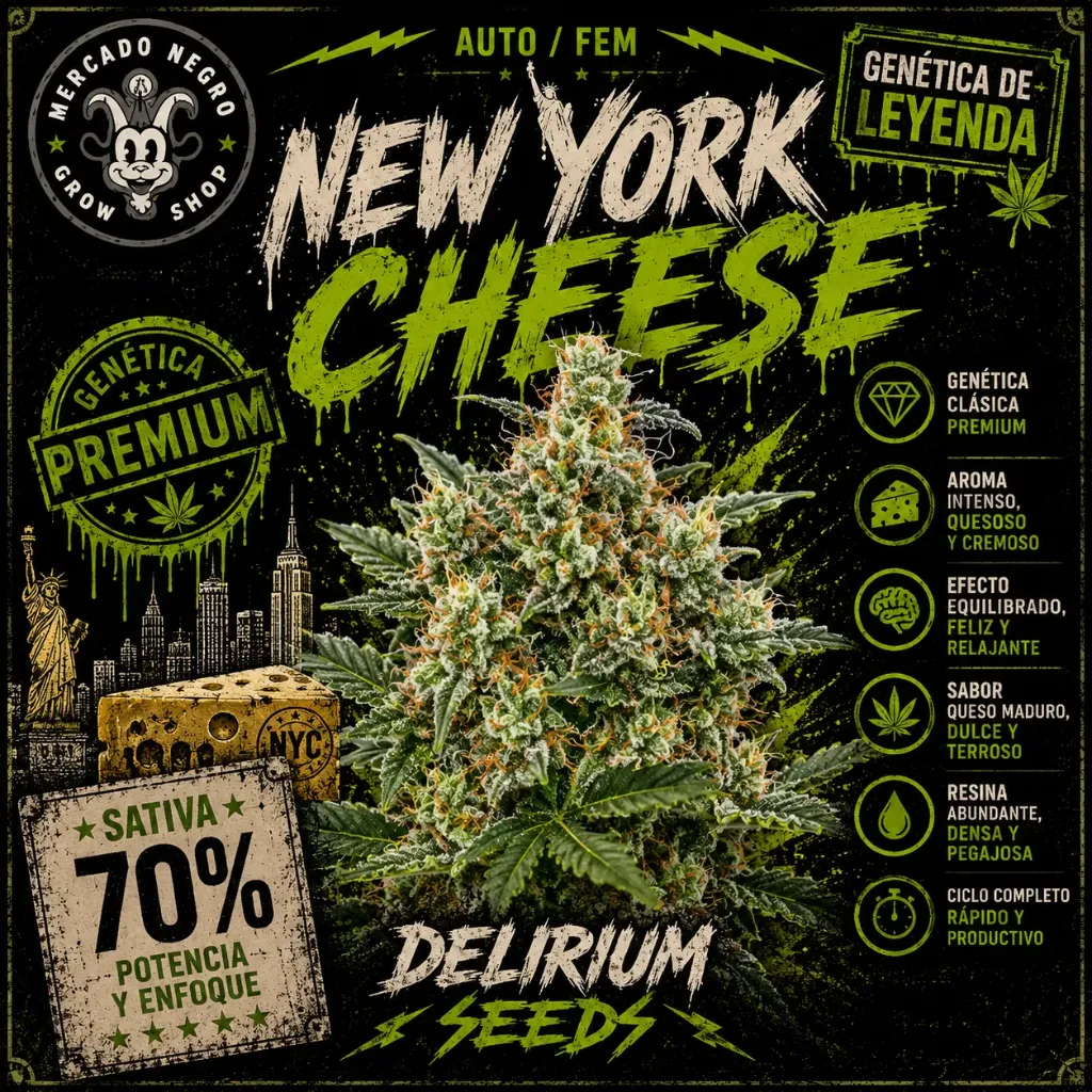 New York Cheese Auto 1 Semilla Delirium Seeds