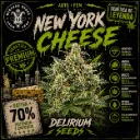 New York Cheese Auto 1 Semilla Delirium Seeds