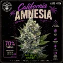 California Amnesia Auto 4 Semillas Delirium Seeds