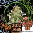 Cookies Cream Auto 4 Semillas Delirium Seeds