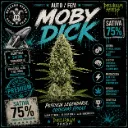 DLR Moby Auto 4 Semillas Delirium Seeds
