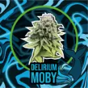 DLR Moby Auto 4 Semillas Delirium Seeds