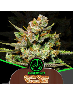 Double Cream Caramel Auto 4 Semillas Delirium Seeds