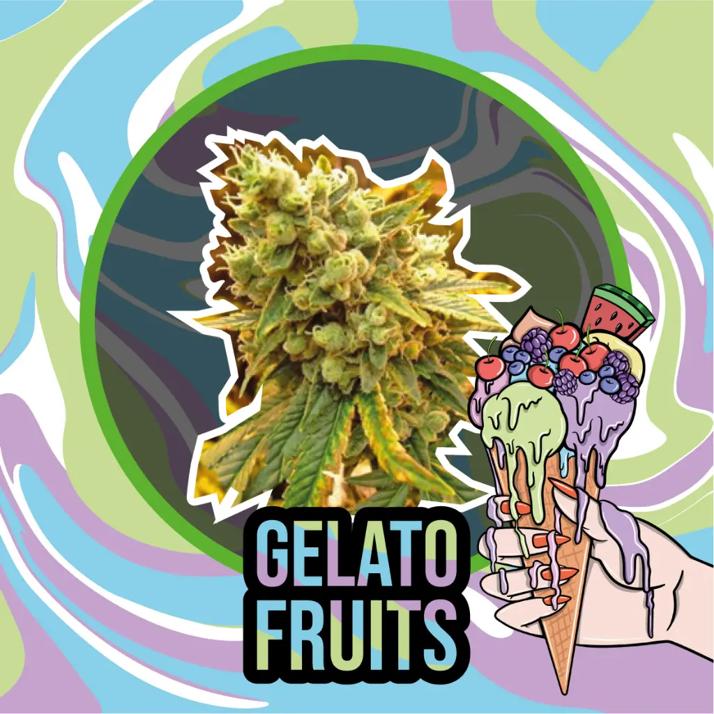 Gelato Fruits Auto 4 Semillas Delirium Seeds