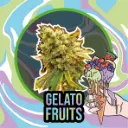 Gelato Fruits Auto 4 Semillas Delirium Seeds
