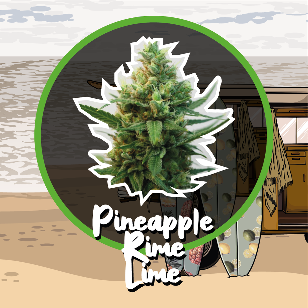 Pineapple Rime Lime Auto 4 Semillas Delirium Seeds