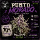 Punto Morado Auto 4 Semillas Delirium Seeds