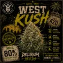 West Kush Auto 4 Semillas Delirium Seeds