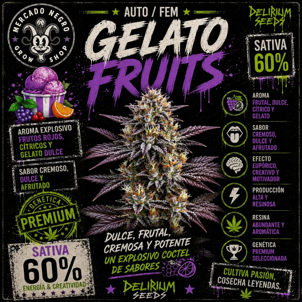 Gelato Fruits Fem 4 Semillas Delirium Seeds