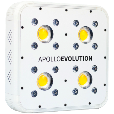 Apollo Evolution 4 127w Delight
