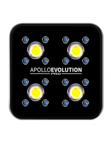 Apollo Evolution Pro 4 150w Delight