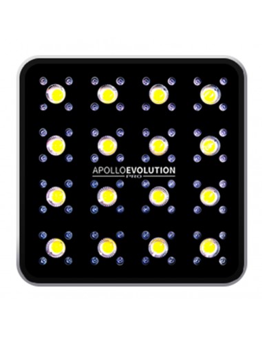 Apollo Evolution Pro 16 480w Delight