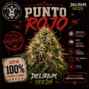 Red Rapper Auto 4 Semillas Delirium Seeds