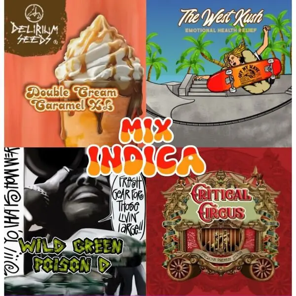 Mix Indica Auto 4 Semillas Delirium Seeds