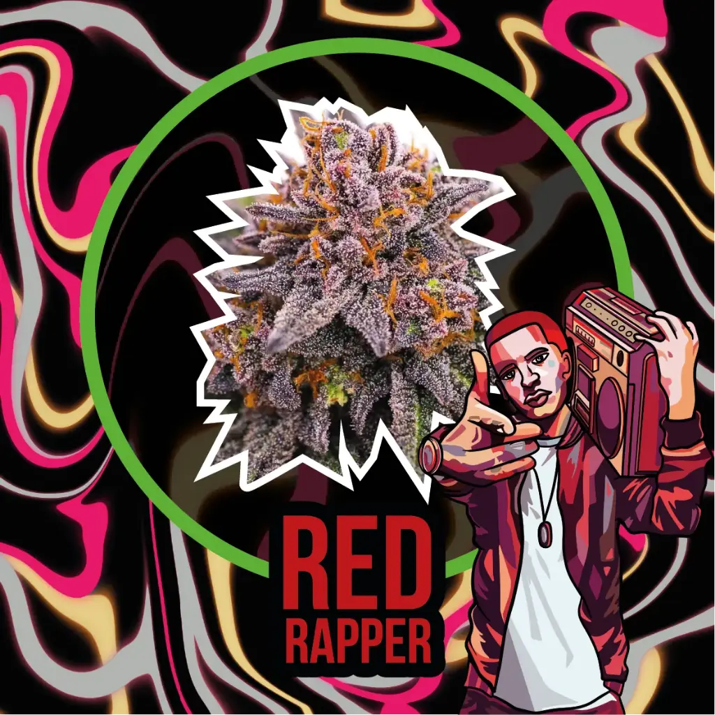 Red Rapper Fem 1 Semilla Delirium Seeds
