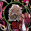 Red Rapper Fem 1 Semilla Delirium Seeds