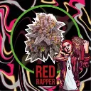 Red Rapper Fem 4 Semillas Delirium Seeds