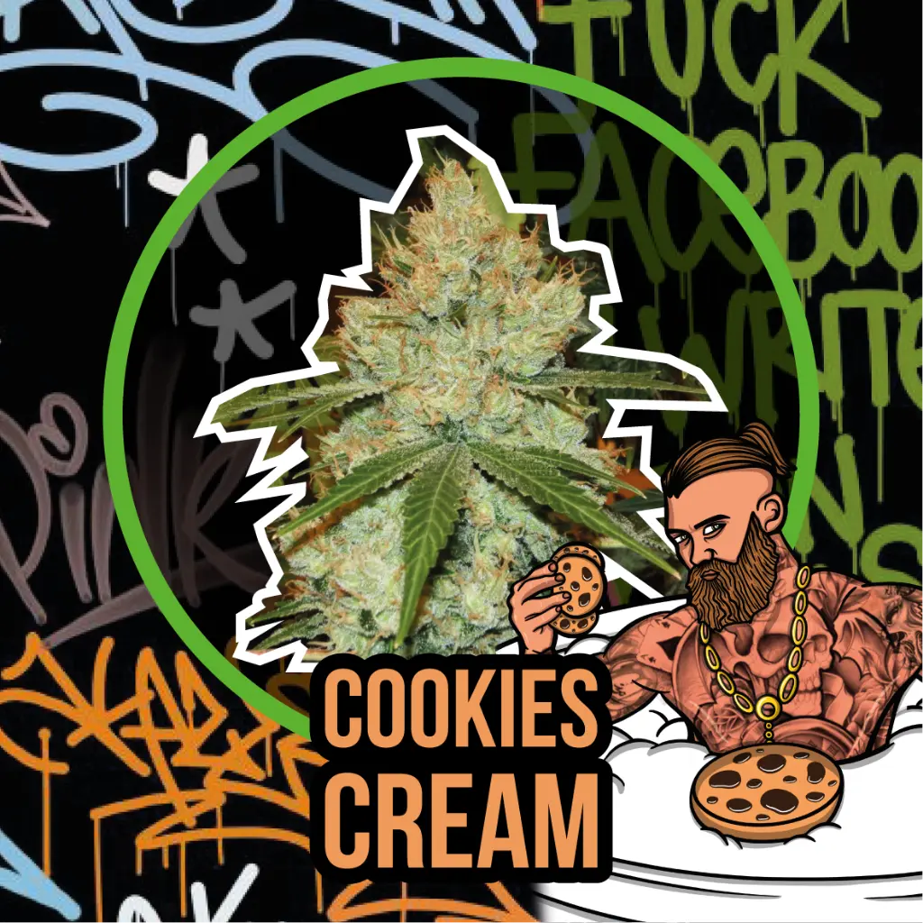 Cookies Cream Fem Fast Version 1 Semillas Delirium Seeds