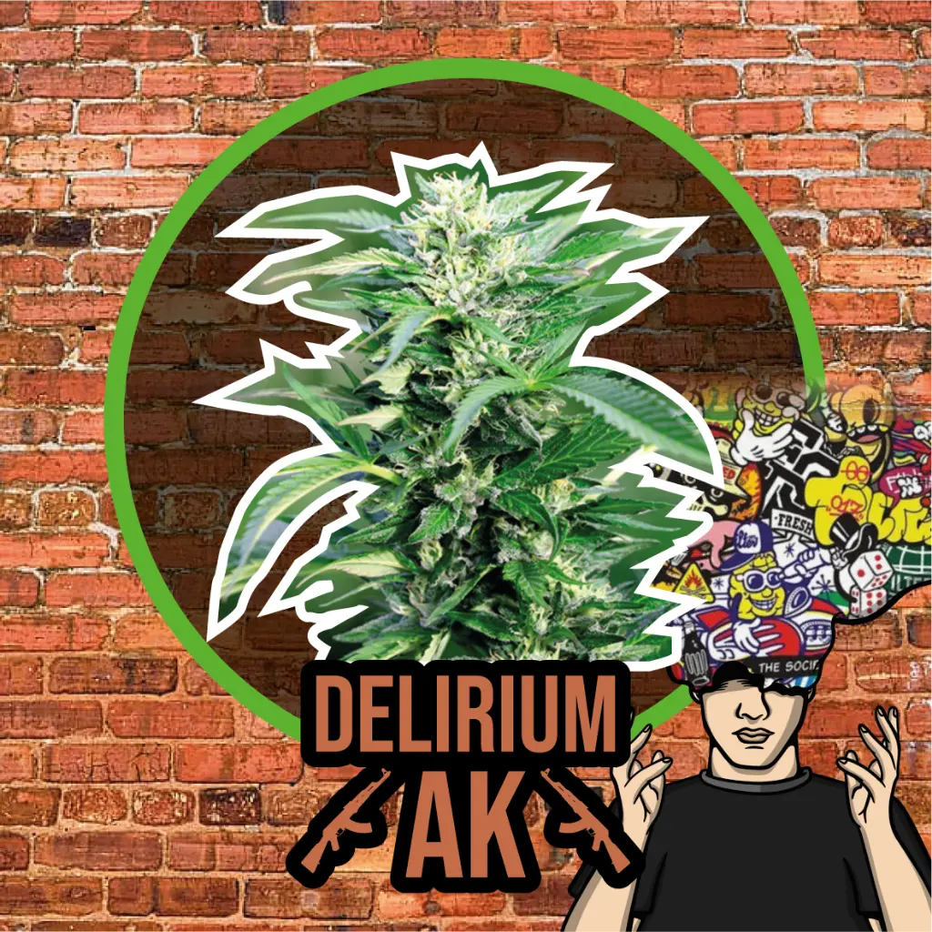 DLR Aka Fem Fast Version 1 Semillas Delirium Seeds