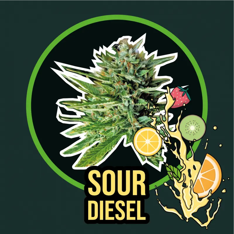 Sour Diesel Fem Fast Version 4 Semillas Delirium Seeds