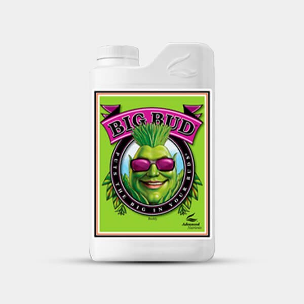 Big Bud 250ml Advanced Nutrients